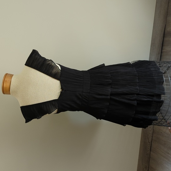 Express Ruffled Dress - Picture 6 of 12